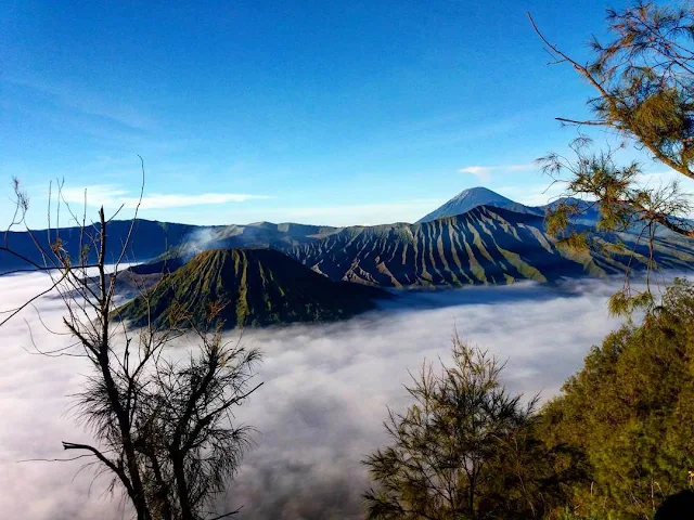 bukit cinta gunung bromo