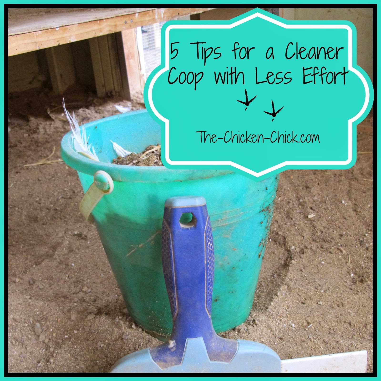 The Chicken Chick®: 5 Tips for a Cleaner Coop with Less Effort