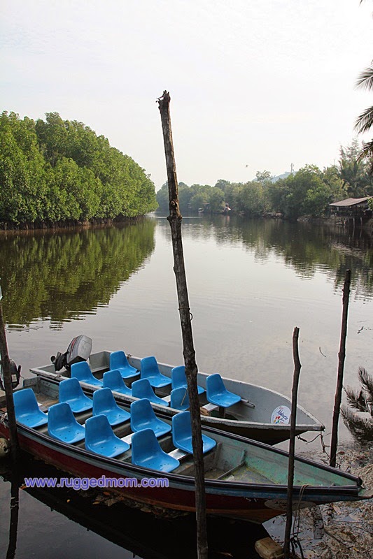 Cherating Mangrove River Cruise