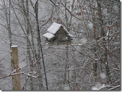 SnoFall_012910_02