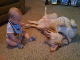 Little boy and his dog friend (24 pics), dog and baby friends pics, cute dog pics, adorable photos of baby and dog