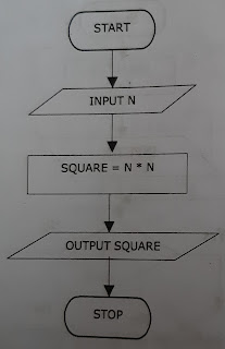 Difference Between Flowchart and Algorithm