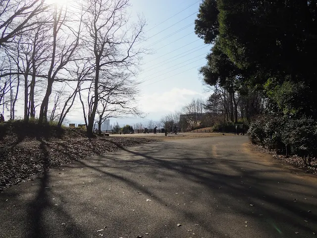 尾根緑道　小山内裏公