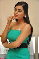 Shipra Gaur in a Strapless Green Short Dress Spicy Pics ~  Exclusive 063.JPG