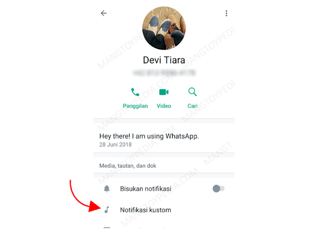 Pilih Notifikasi Custom