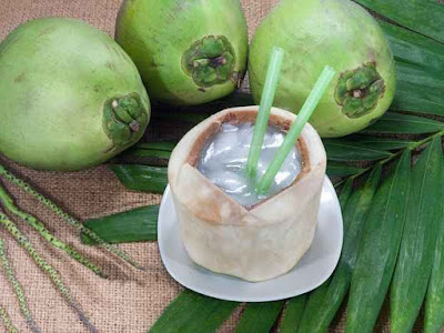 air kelapa muda