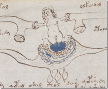 Voynich_manuscript