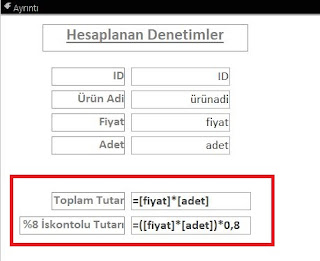 Access'te hesaplanan denetimler