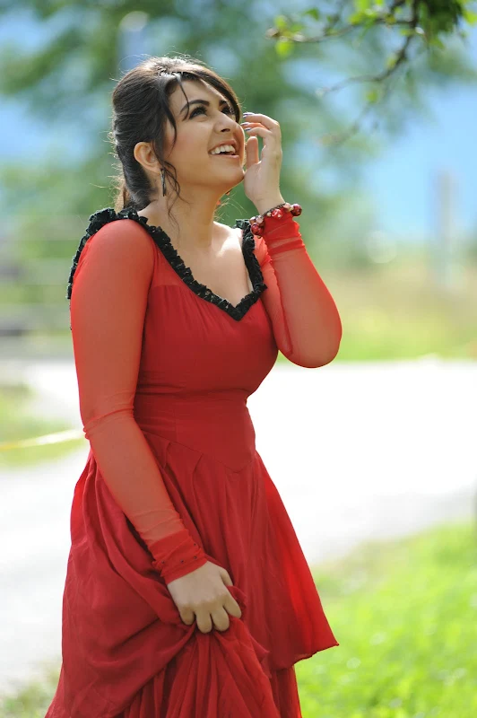 Cute Hansika Motwani Beautiful Photo Shoot Photoshoot images