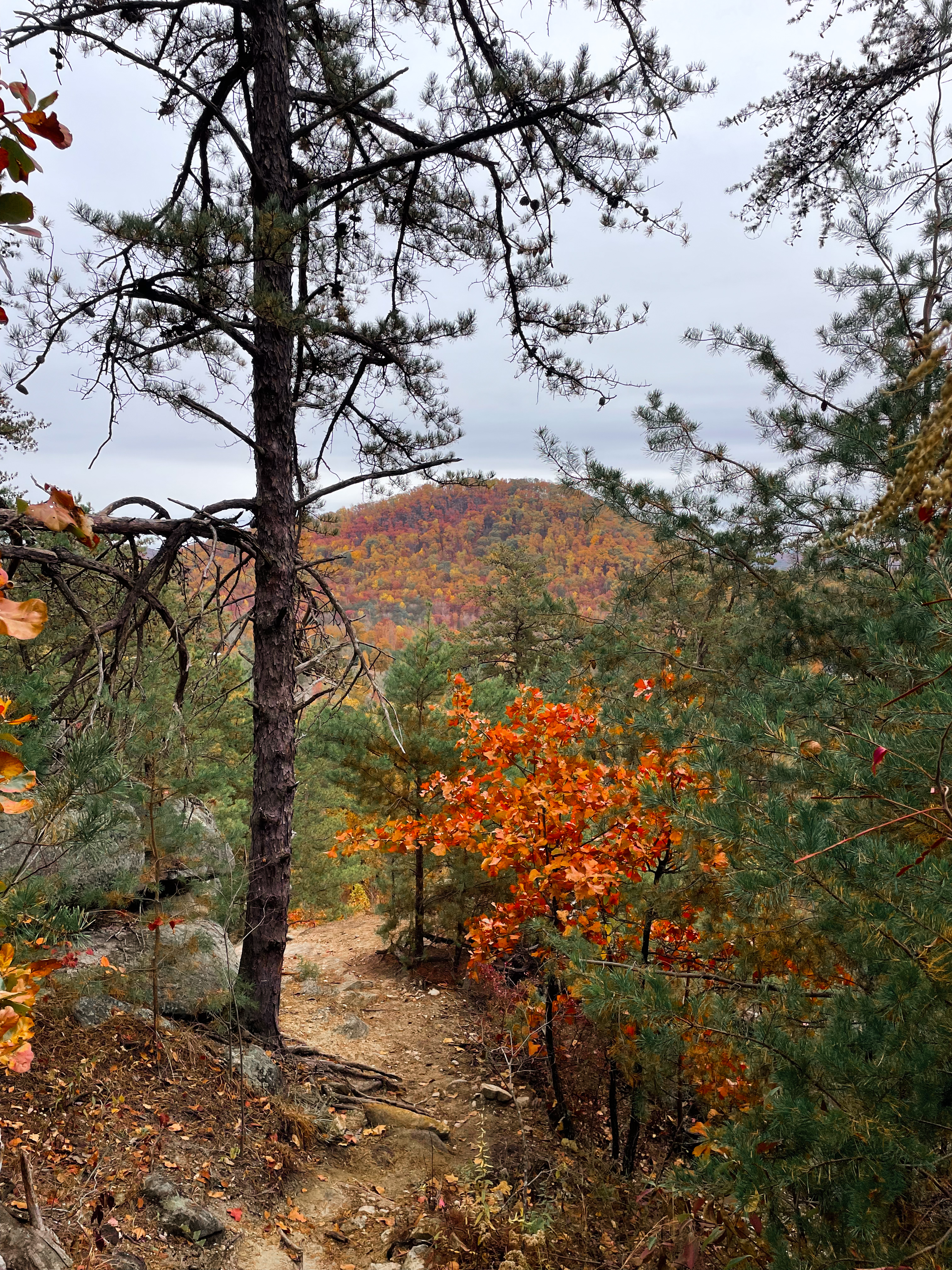 Big Rock Mountain, Pickens, SC