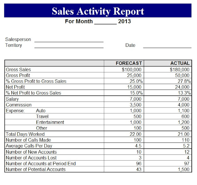 2013 Sales Activity Report