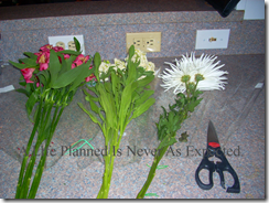 Picture5