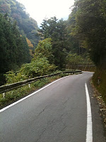 Henro trail along some narrow road