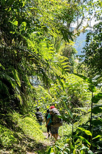 Région de l'Ifugao-Luçon-Philippines