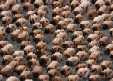 Spencer Tunick Mexico City