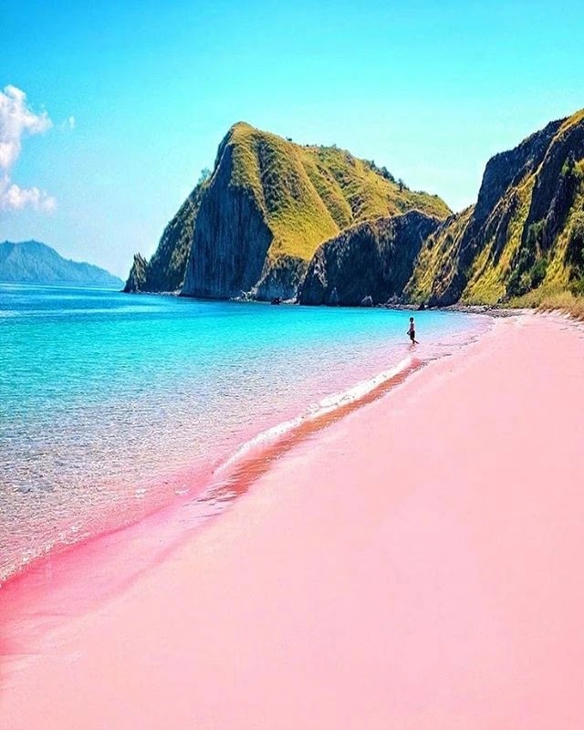 Pesona Pink Beach - Foto IG @nrend_noktalar