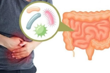 10 Warning Signs You Have an Unhealthy Gut and How to Build a Healthy One Again 