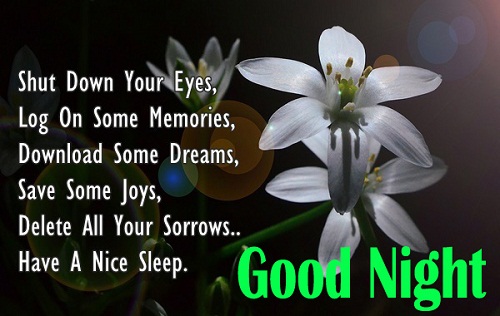 Good Night Flowers Images with Quotes