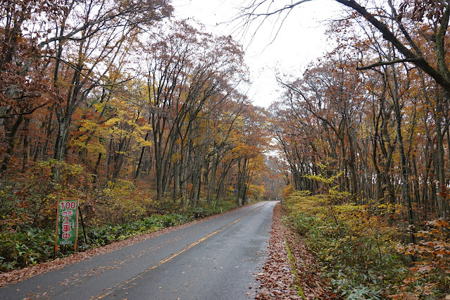 鳥取県道45号倉吉江府溝口線（大山環状道路）