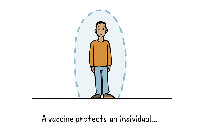 Vaccines Herd Immunity illustration