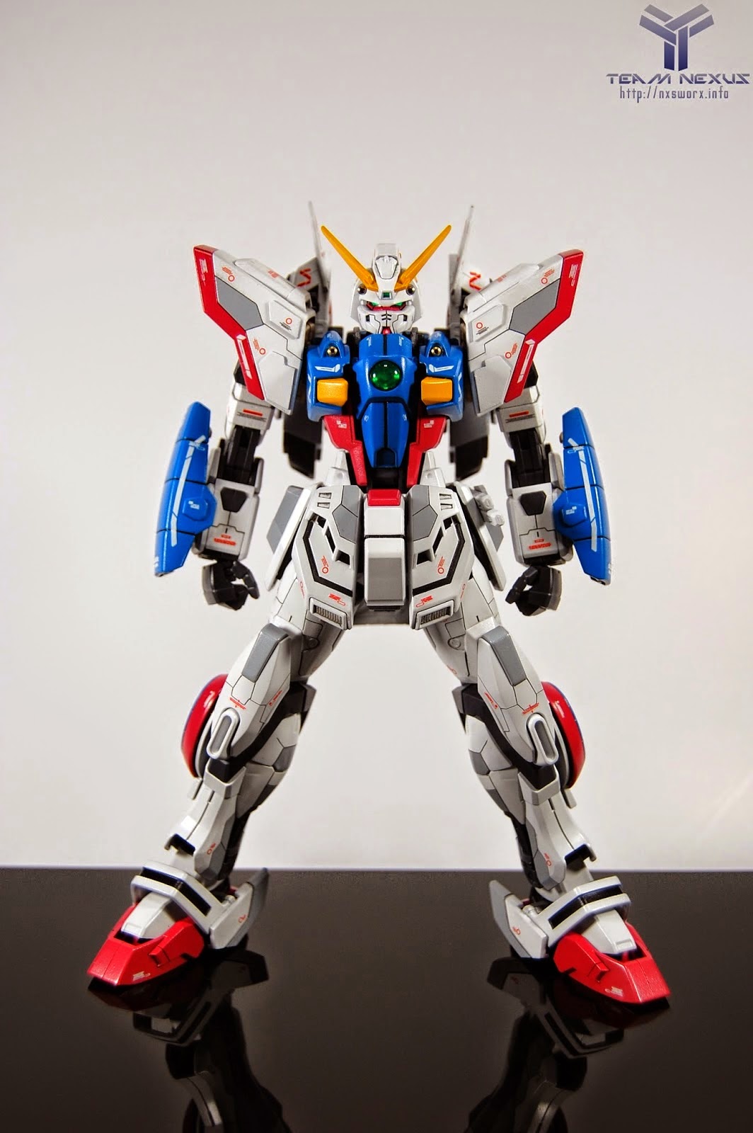 MG Shining Gundam Evolve modeled by PrimaryMHphoto