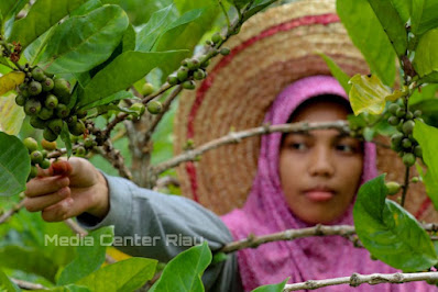 Nilai Tukar Petani Riau Naik 139,27 Persen