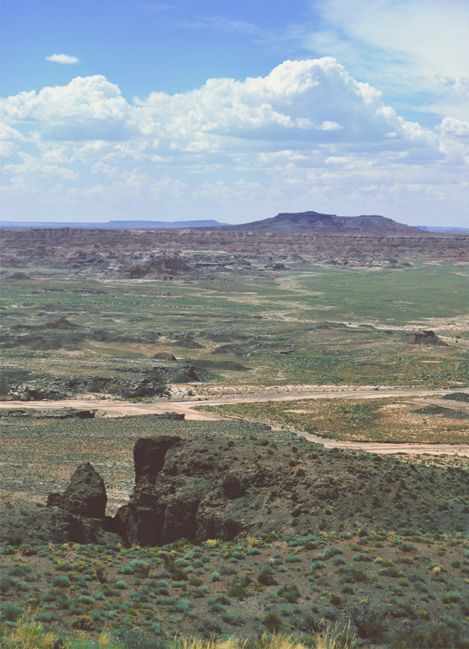 The Flying Clubhouse: Painted Desert