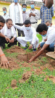 मंत्री श्री कावरे ने ग्राम डूंगरिया में वृक्षारोपण महा अभियान मे वृक्षारोपण किया