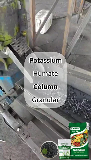Discover the Production Process of Potassium Humate Column Granular! 🌾 | #Humico  Appearance: Black Shiny Cylinders Water-solubility: (dry basis) 85% Humic acid (dry basis): 50%min Potassium (K2O dry basis): 6-8%min Moisture: 15.0%max pH: 9.0-10.0 Size: 2-4mm https://www.ihumico.com/potassium-humate-cylinders/  Join us on a behind-the-scenes tour of Humico's advanced factory, where we produce our premium Potassium Humate Column Granular! 🚜🏭 Watch the video to see our state-of-the-art machinery in action, ensuring top-quality production every time. 🎥✨  Description: Our Potassium Humate Column Granular is a high-quality, organic fertilizer rich in humic and fulvic acids. These granules are perfect for improving soil health and promoting robust plant growth.  Application:     Soil Amendment: Enhances soil structure and fertility.     Fertilizer Additive: Boosts nutrient uptake when mixed with other fertilizers.     Crop Growth: Ideal for a wide range of crops, including cereals, fruits, and vegetables.  Benefits:     Enhanced Nutrient Absorption: Increases the availability of essential nutrients to plants.     Improved Soil Health: Boosts microbial activity and enhances soil structure.     Increased Yield: Promotes healthier, more vigorous plant growth for higher crop yields.  Advantages:     100% Organic: Safe for the environment and suitable for organic farming.     Cost-Effective: Reduces the need for chemical fertilizers and enhances overall soil fertility.     Versatile Use: Suitable for various crops and soil types.  Stay tuned for more exciting insights into our production processes and top-quality products! 🌱💚  Services ●OMRI and ISO Certified; ●Support OEM & ODM; ●Free samples to test; ●Customizable packaging & Blank Brand all available;  Contacts Whatsapp/Zalo/Line/Wechat/Phone: +86 181 751 93115 Whatsapp: https://wa.me/8618175193115 Email: info@tophumate.com Website: www.ihumico.com HUNAN HUMICO BIOTECHNOLOGY CO., LTD  🔗 Follow us: Facebook: https://www.facebook.com/humicoo/ Linkedin: https://www.linkedin.com/company/Humico-Humate Youtube: https://www.youtube.com/@Humico6650 Instagram: https://www.instagram.com/HumicoFertilizer Tiktok: https://www.tiktok.com/@humicofertilizer Pinterest: https://www.pinterest.com/HumicoFertilizer/ Snapchat: https://www.snapchat.com/add/humicochina Twitter: https://twitter.com/iHUMICO Quora: https://ihumico.quora.com/ BlogSpot: https://humicofertilizer.blogspot.com/ Whatsapp Channel: https://whatsapp.com/channel/0029VaRg5yS1iUxQSkMNlg1r  #PotassiumHumate #Agriculture #Fertilizers #OrganicFertilizers #Plants #Organic #FertilizersManufacturer #ExportSupplier #AgricultureFertilizers #ChinaSupplier #OrganicAgriculture #ChinaFactory #HighContentFertilizer #OrganicFertilizer #SoilHealth #SustainableFarming #PlantGrowth #AgricultureInnovation #FarmingTech
