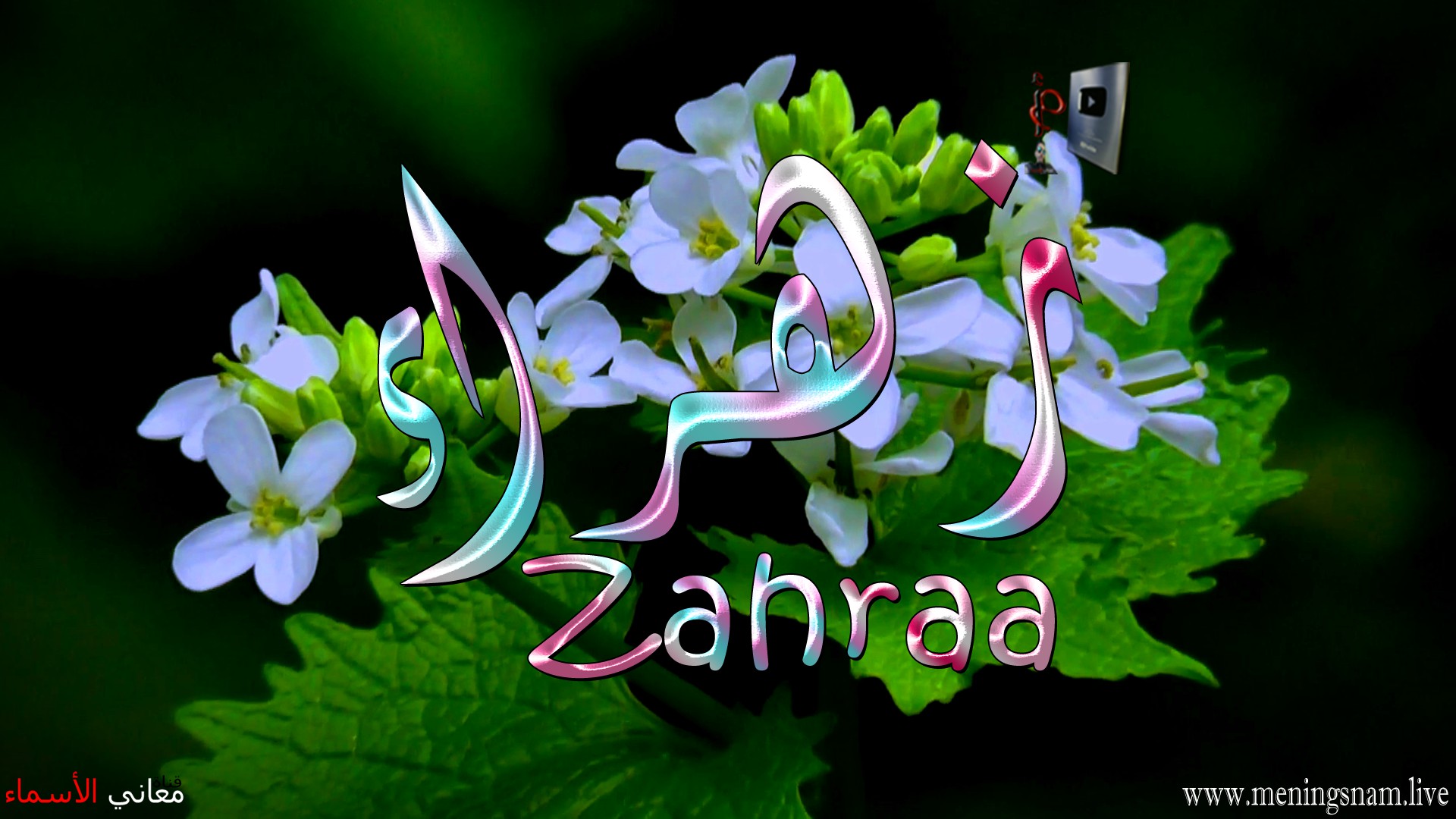 معنى اسم, زهراء, وصفات, حاملة, هذا الاسم, Zahraa,