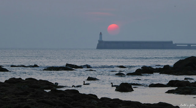 les sables d'olonne 