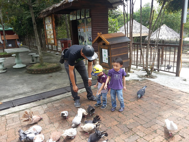 FARM IN THE CITY ANAK KENAL HAIWAN SECARA DEKAT