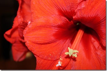 067