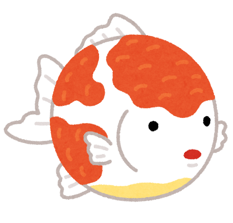 ピンポンパールのイラスト 金魚 かわいいフリー素材集 いらすとや