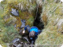 swinhope 013