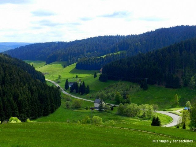 Valle en la Selva Negra, Alemania