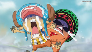 ワンピースアニメ 魚人島編 554話 チョッパー パッパグ | ONE PIECE Episode 554