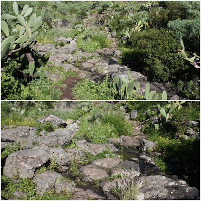 PR-TF-2  VALLESECO (Santa Cruz de Tenerife) A TABORNO, Sendero paralelo al Barranco Seco en dirección a La Fortaleza