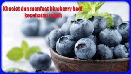 Manfaat Buah Blueberry Untuk Kesehatan