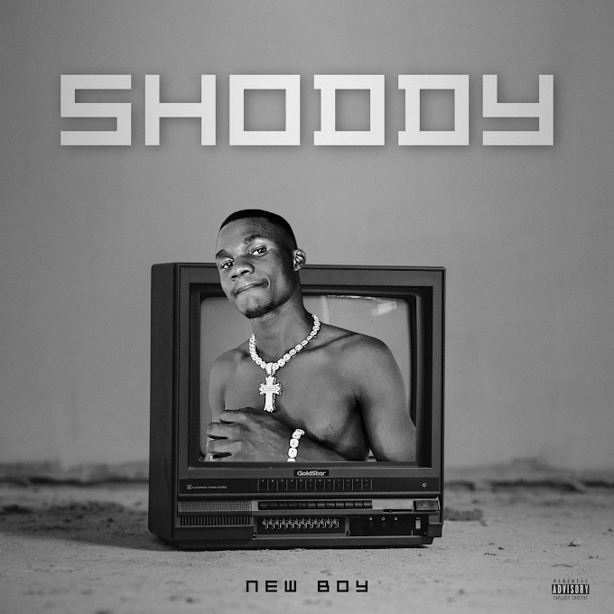 New Boy - Shoddy - mp3 download