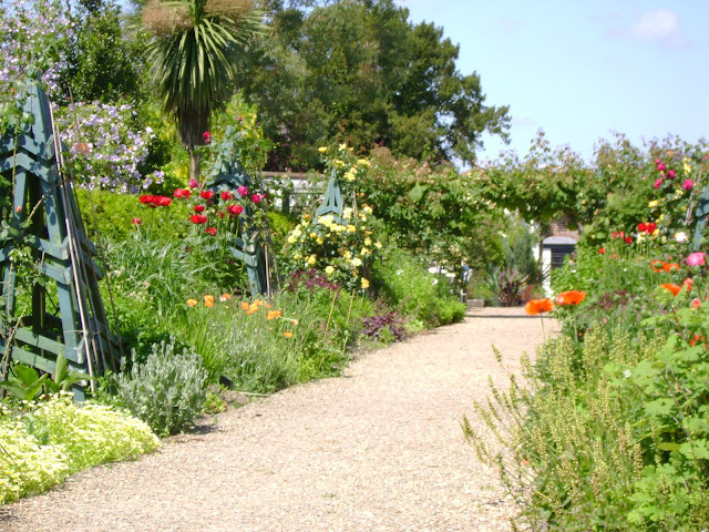 Garden scene with flowers