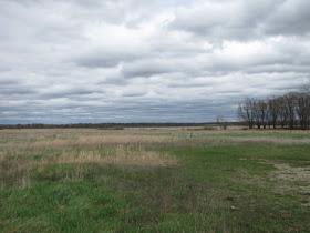 Walkinshaw Wetland