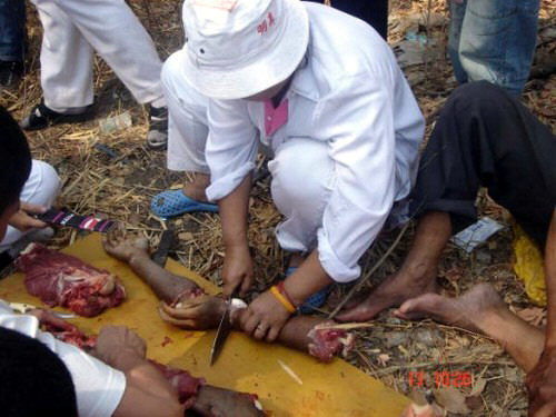 Heboh Foto Aliran Sesat, Membunuh Dan Berpesta Memakan Daging Manusia [ www.BlogApaAja.com ]