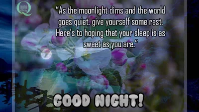 Beautiful good night quotes and inspirational sayings