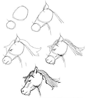 Horse Coloring Sheets on Horse Coloring Pages