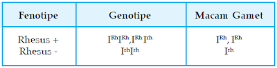 Sistem Rhesus