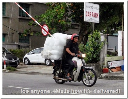 DSC00829 Ice delivery (800x597)