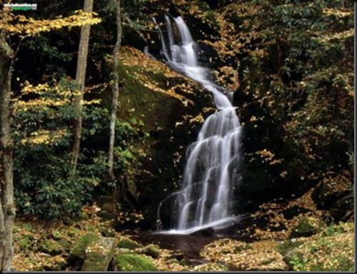 ElTALLERDELABRUJAMAR_Mouse Creek Falls, Great Smoky