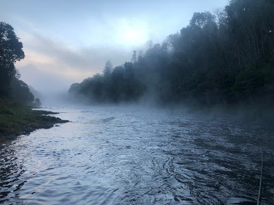 Scottish Fishing Guide