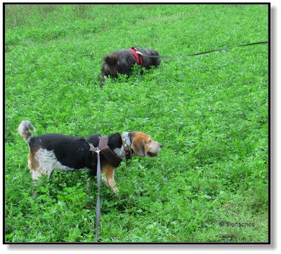 mit Emma und Lotte unterwegs